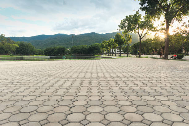 Best Driveway Pavers Near Me  in Medina, MN