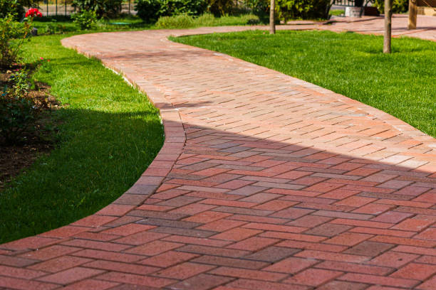 Best Driveway Repair Near Me  in Medina, MN